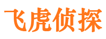 邗江侦探公司